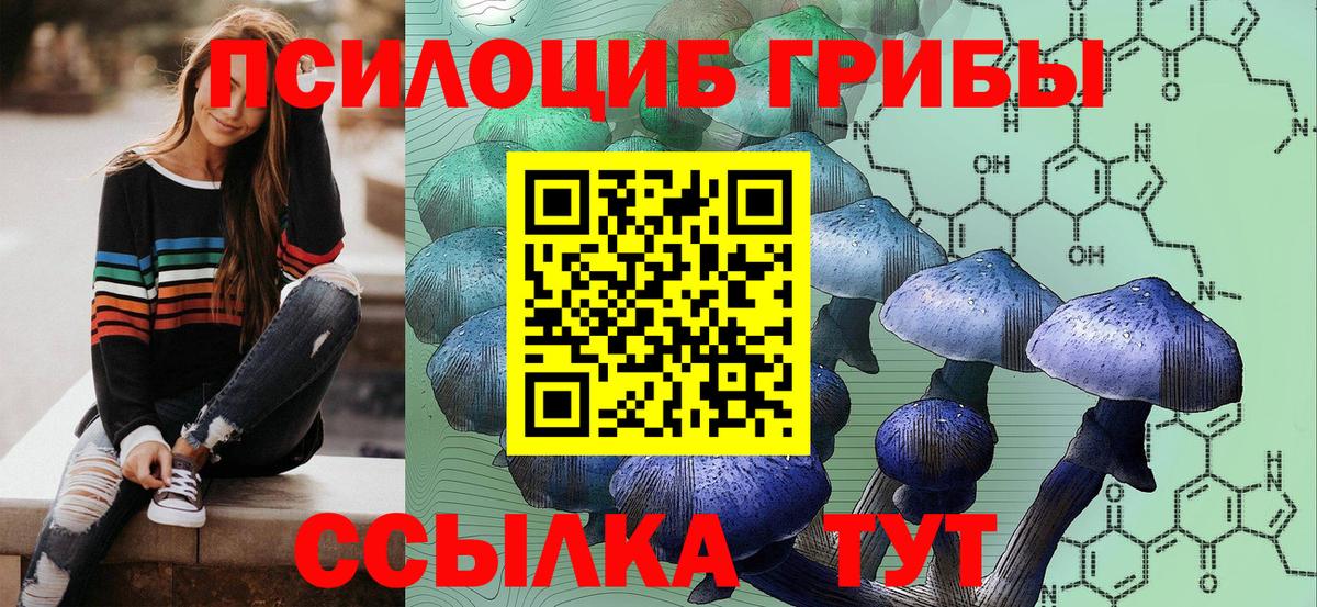 Псилоцибиновые грибы прущие грибы Чусовой