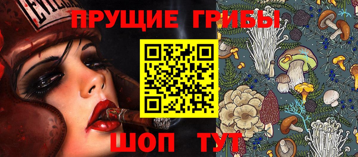 Галлюциногенные грибы MAGIC MUSHROOMS  Вход с VPN  Чусовой 